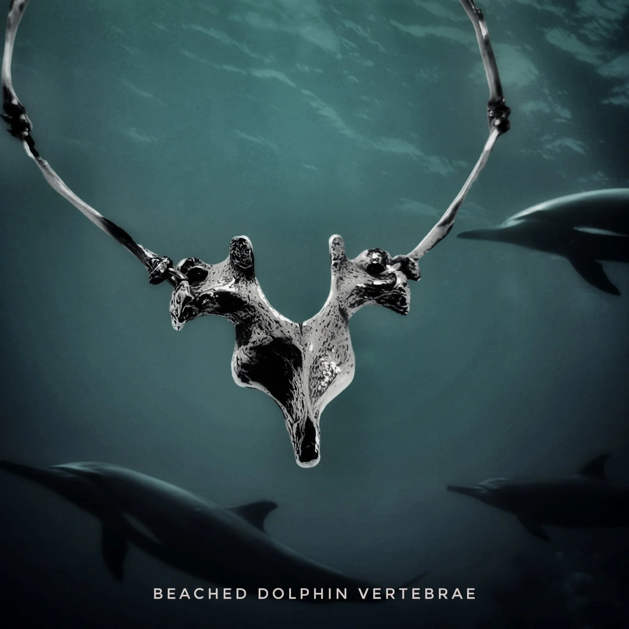 Dolphin Vertebra Collar II | Martha Rotten